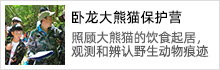 臥龍大熊貓保護(hù)營(yíng)