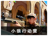 小狼行動(dòng)營(yíng)