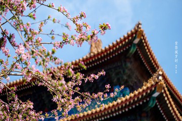 故宮夏令營(yíng)歡迎你來(lái)