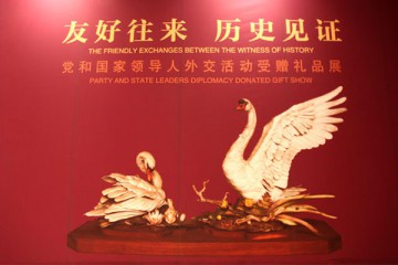 “未來領(lǐng)袖夢”小外交官2