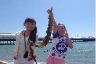倫敦劍橋英語學(xué)習(xí)+雙重住宿體驗(yàn)營-新東方