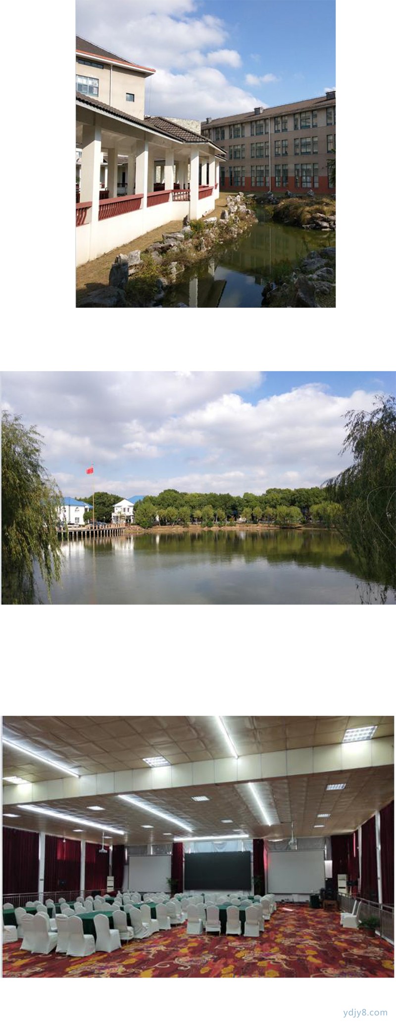 濱眾體育---上海夏令營文案_201902-8