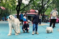 推薦圖