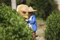 推薦圖