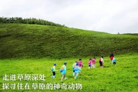 推薦圖
