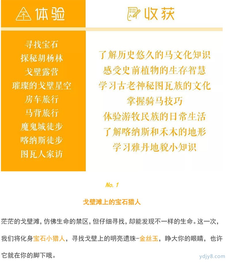 新疆喀納斯房車-6