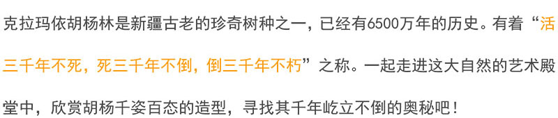 新疆喀納斯房車-8