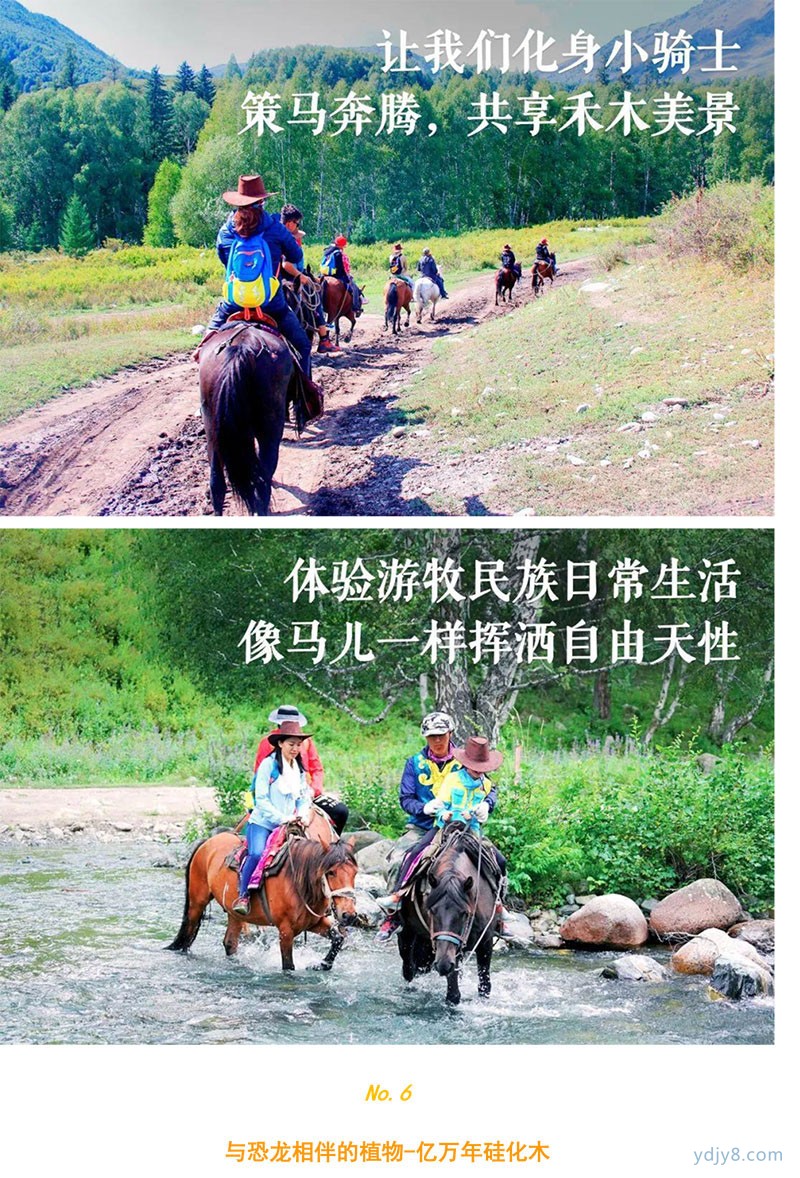 新疆喀納斯房車-15