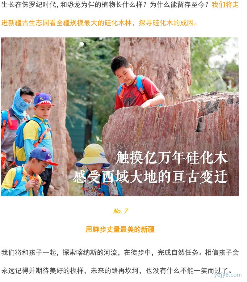 新疆喀納斯房車-16