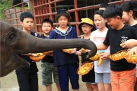 推薦圖
