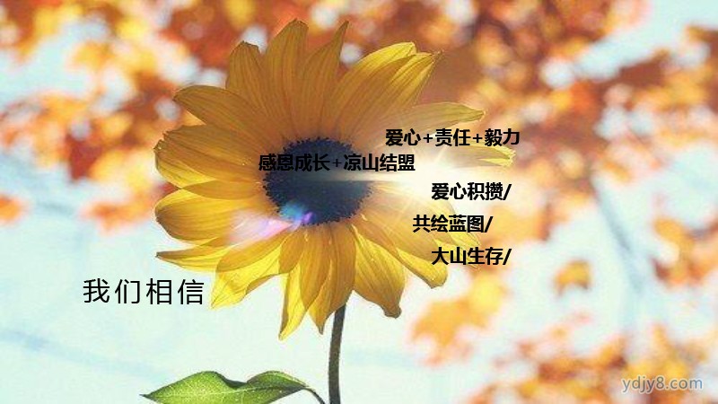 小小關(guān)愛善行涼山2022夏令營-7