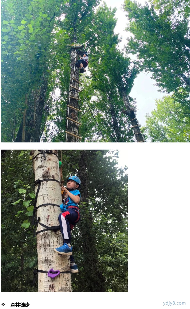 【夏令營】高能-少年安全官第九季 安全自護·水陸運動挑戰(zhàn)·酷涼嗨度一夏-19