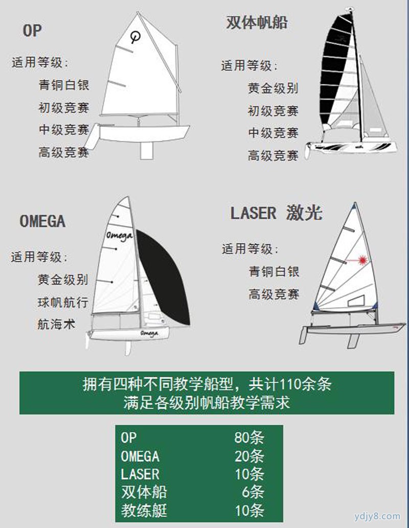 圖片11